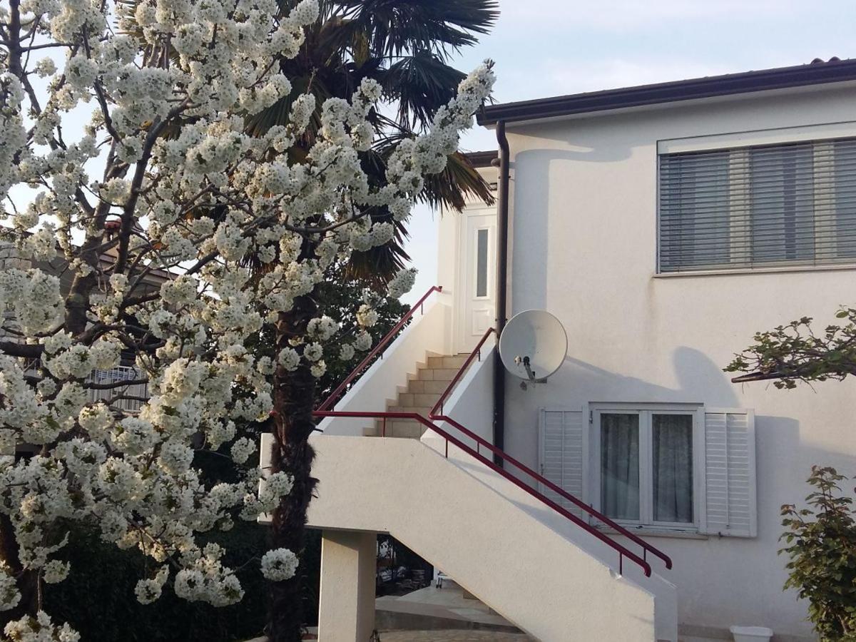 Premium Apartment Sanja 포레치 외부 사진